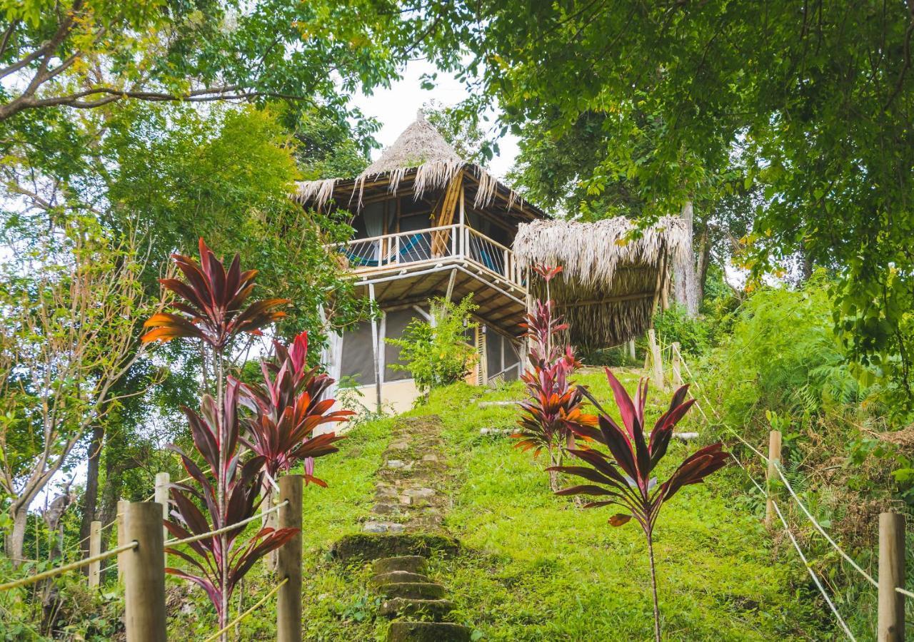 Ecohabs Minca