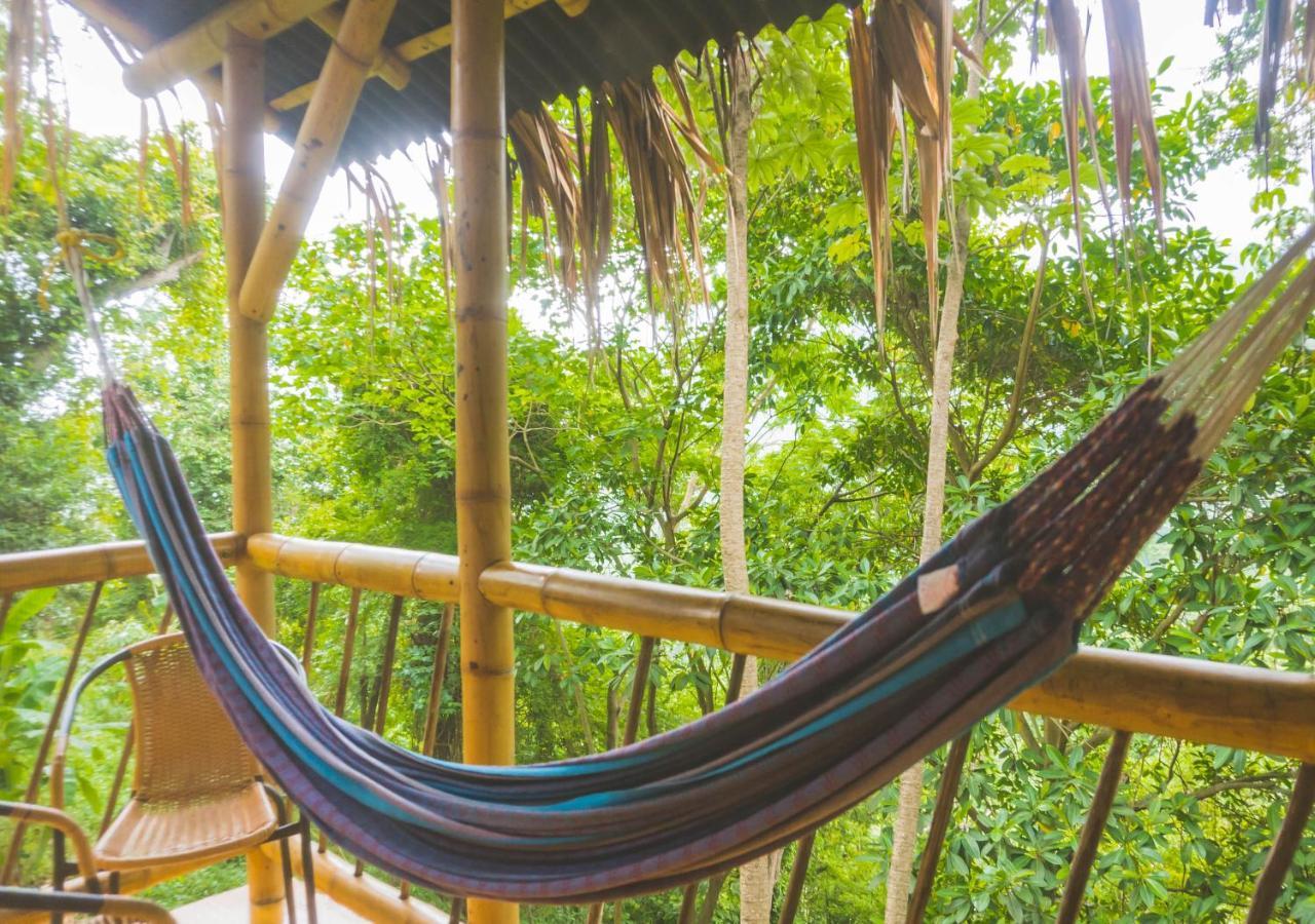 Ecohabs Minca