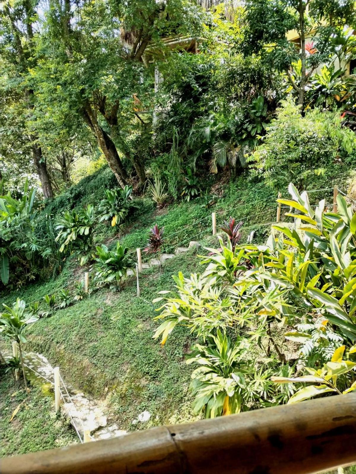 Ecohabs Minca